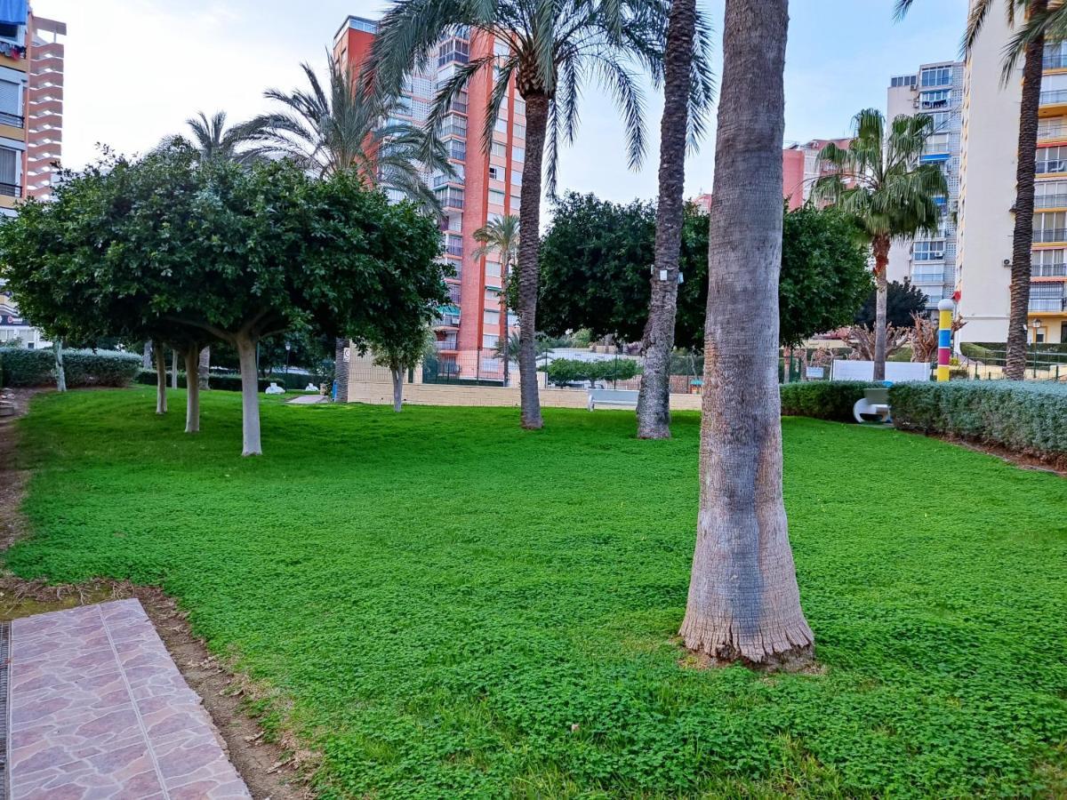 Piso Calleja Benidorm Eksteriør bilde